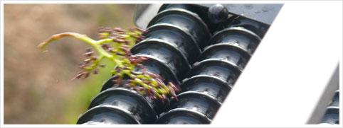 Desgranadora de uva - Selectiv' proccess Winery